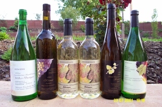 Probepaket Weisswein1